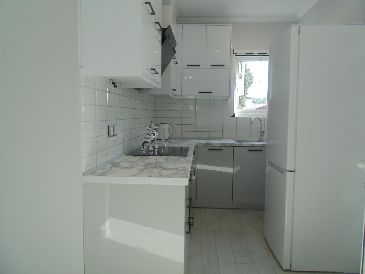 White Rose Appartement Potamós Buitenkant foto
